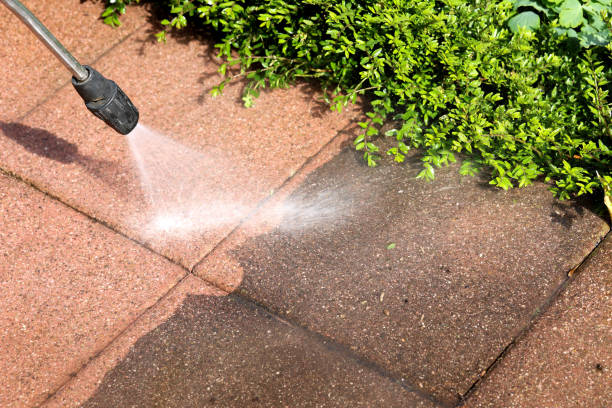 Best Pressure Washing Driveway  in Muscoy, CA